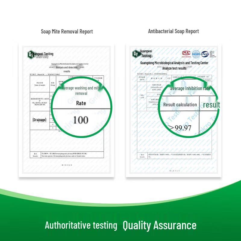 Dettol Healthy Pine Fresh Bar Soap, 6 Bars