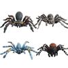 Realistic Wild Insect Model Pack With Static Spiders For Educational Displays And Collection Enthusiasts