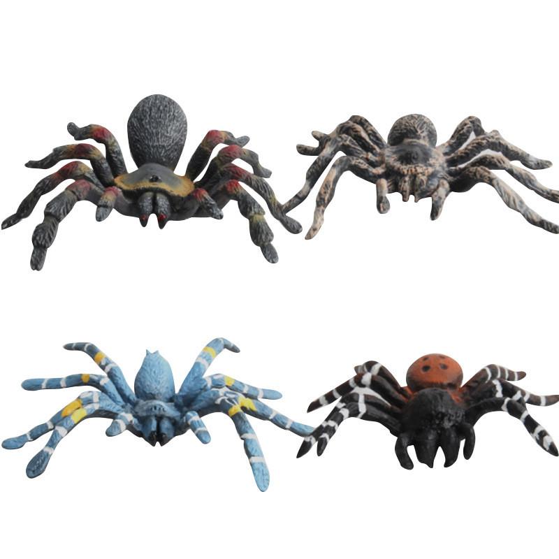 Realistic Wild Insect Model Pack With Static Spiders For Educational Displays And Collection Enthusiasts