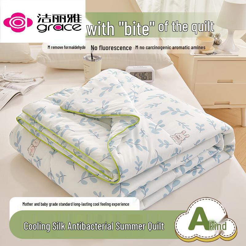 

Jeliya Ice Silk Summer Machine Washable Quilt