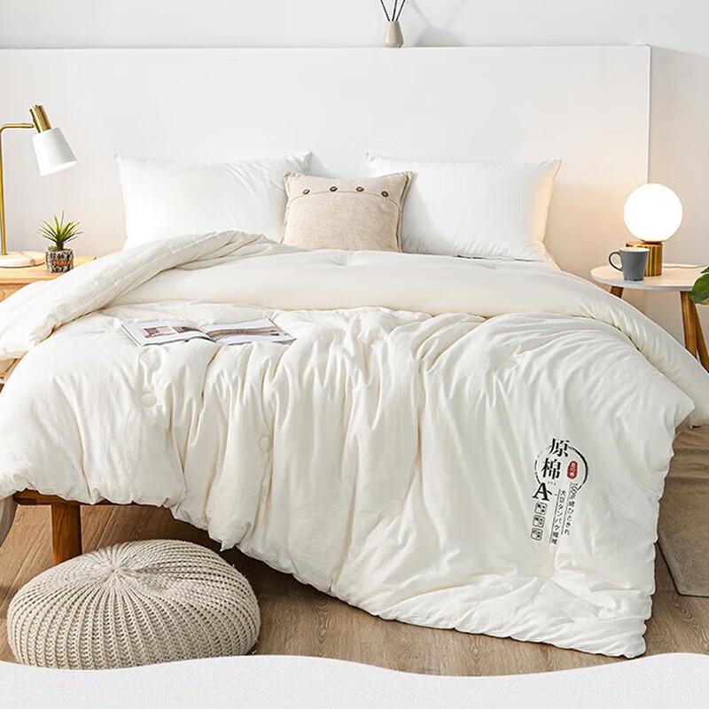 

Fangen All-Season Washed Cotton Soybean Fiber Comforter