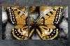 SZKLANA PŁYTA i DESKA DO KROJENIA 100x52 MOTYL