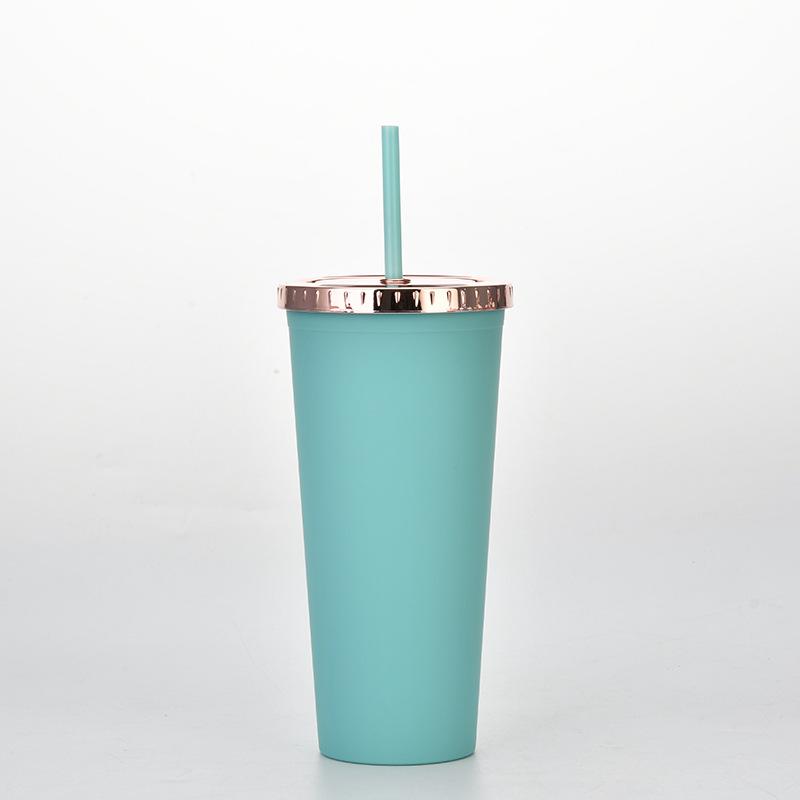 Plastic Water Cup Fashionable Rose Gold Cover Matte Multi-Color Double-Layer Plastic Straw Cup