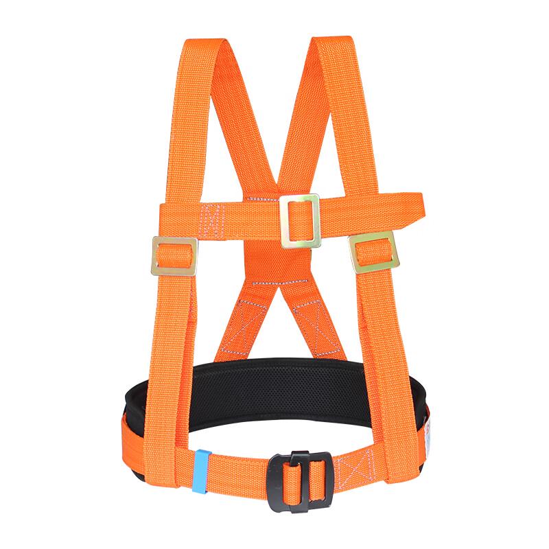 Safety Harness with Lanyard