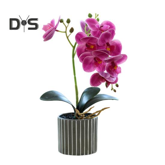 Artificial Potted Plant Faux Moth Orchid Bonsai Desktop Artificial Potted Phalaenopsis Flowers for Home Dining Table Office Desk Decoration