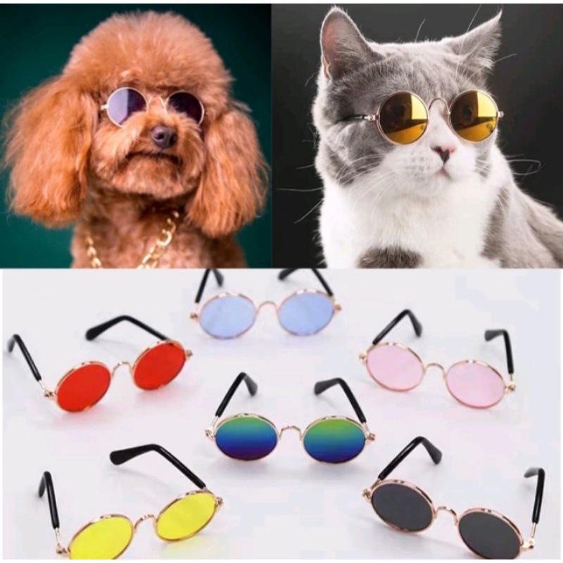 Pet Round Frame Sunglasses - Trendy Retro Glasses for Dogs and Cats