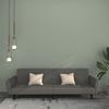 2 Seater Dark Grey Velvet Sofa Bed