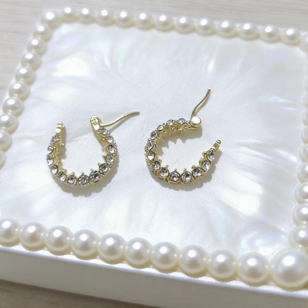 Autumn/Winter Crystal Hoop Earrings: High-End Retro Luxury Full Diamond Design for Women - Versatile and Chic.