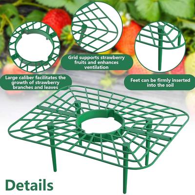 5/10Pcs Strawberry Plant Supports With 4 Support Feet Strawberry Growing Racks For Protecting Vines Avoid Ground Gardening Tool
