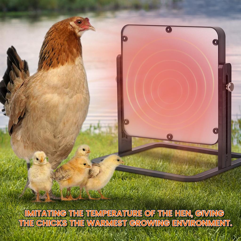 Electric Chick Brooder Heating Plate Adjustable Height Chick Cage Heater Chicken Warmer for Hen Ducklings Supplies EU Plug