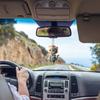 2D Cute Car Acrylic Flat Rearview Mirror Pendant Keychain Accessories