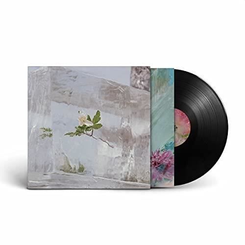 WINDFLOWERS CITY SLANG