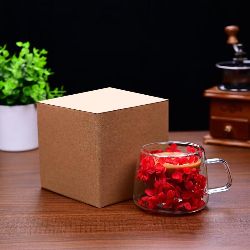 

Glass Coffee Mugs with Handle (Set of 2)