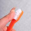 5pcs/set Long Handle Pet Toothbrush Double-head Dog Toothbrushes Oral Care Dog Teeth Cleaning Soft Hair Cat Toothbrush