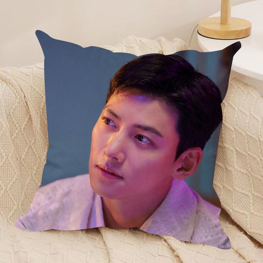 JJi CChang Wook Cushion Cover Silky Short Plush DoubleSided Printed Pillow Case for Sofa All Seasons Home Decor Gift