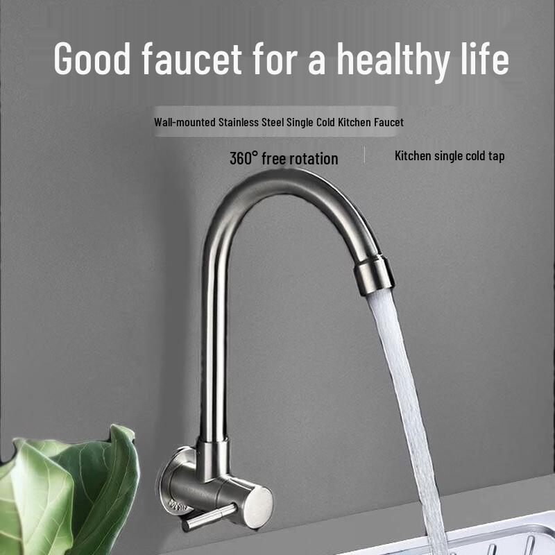 

TLXT Kitchen Wall-Mounted Single Cold Faucet with Curved Spout