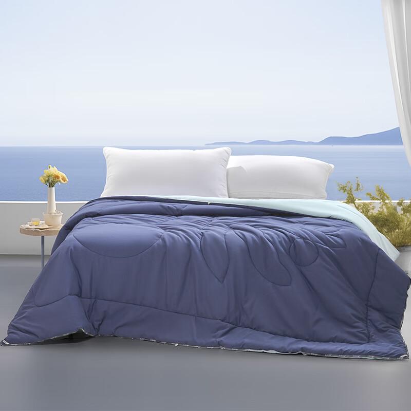 

Mercury Home Washable Antibacterial All-Season Quilt