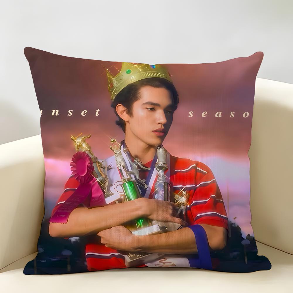 Singer CConan GGray Cushion Cover Natural Linen Organic Fabric DoubleSided Printing Room Sofa Decor Pillow Case