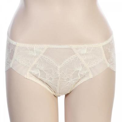Lace Triangle Panty 2color  Abp4455 