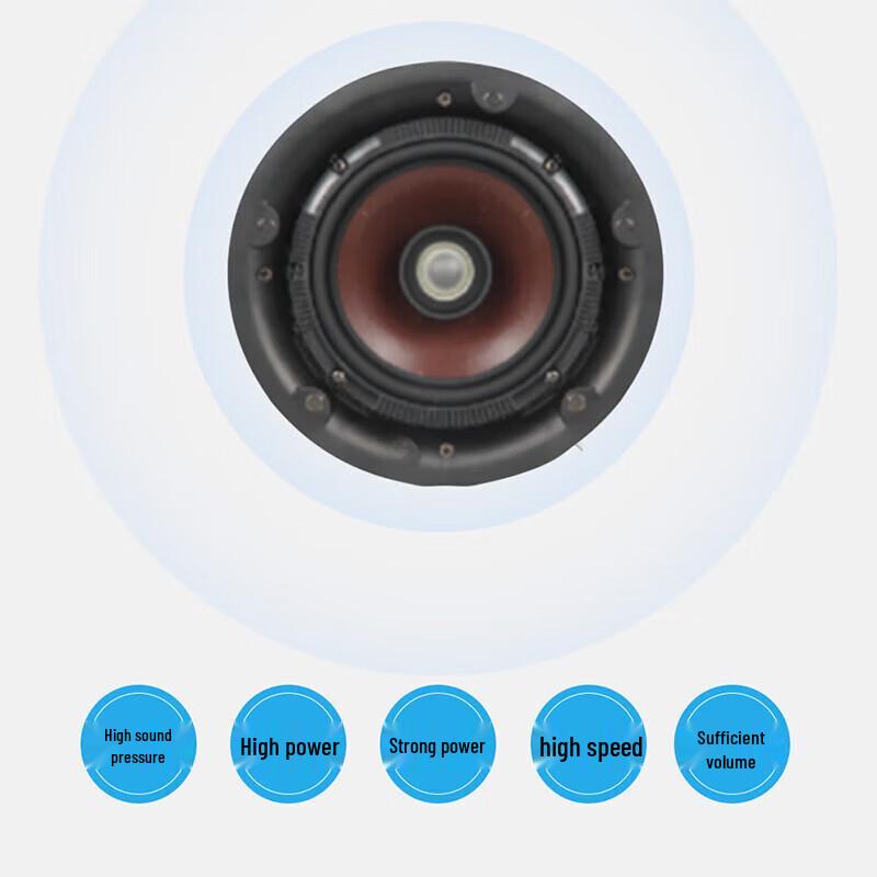 Runpu RP-XDY02 6-inch Coaxial Ceiling Speaker (CN Version)