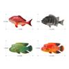 Conjunto de Modelos Realistas de Animais Marinhos Tropicais Apresentando Grupo de Peixes de Seda Vermelha e Decoração de Pargo