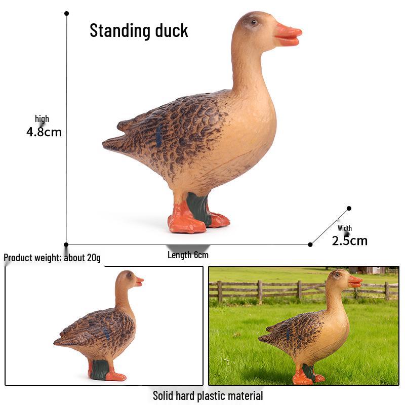 Children s Poultry Animal Simulation Toy Set: Rooster, Hen, Chick, Swan, Duck Ornaments