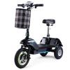 Three-wheeled Electric Scooter Twofish TF03 500W Motor 48V15Ah Battery 30km/h Max Speed 30km Max Range