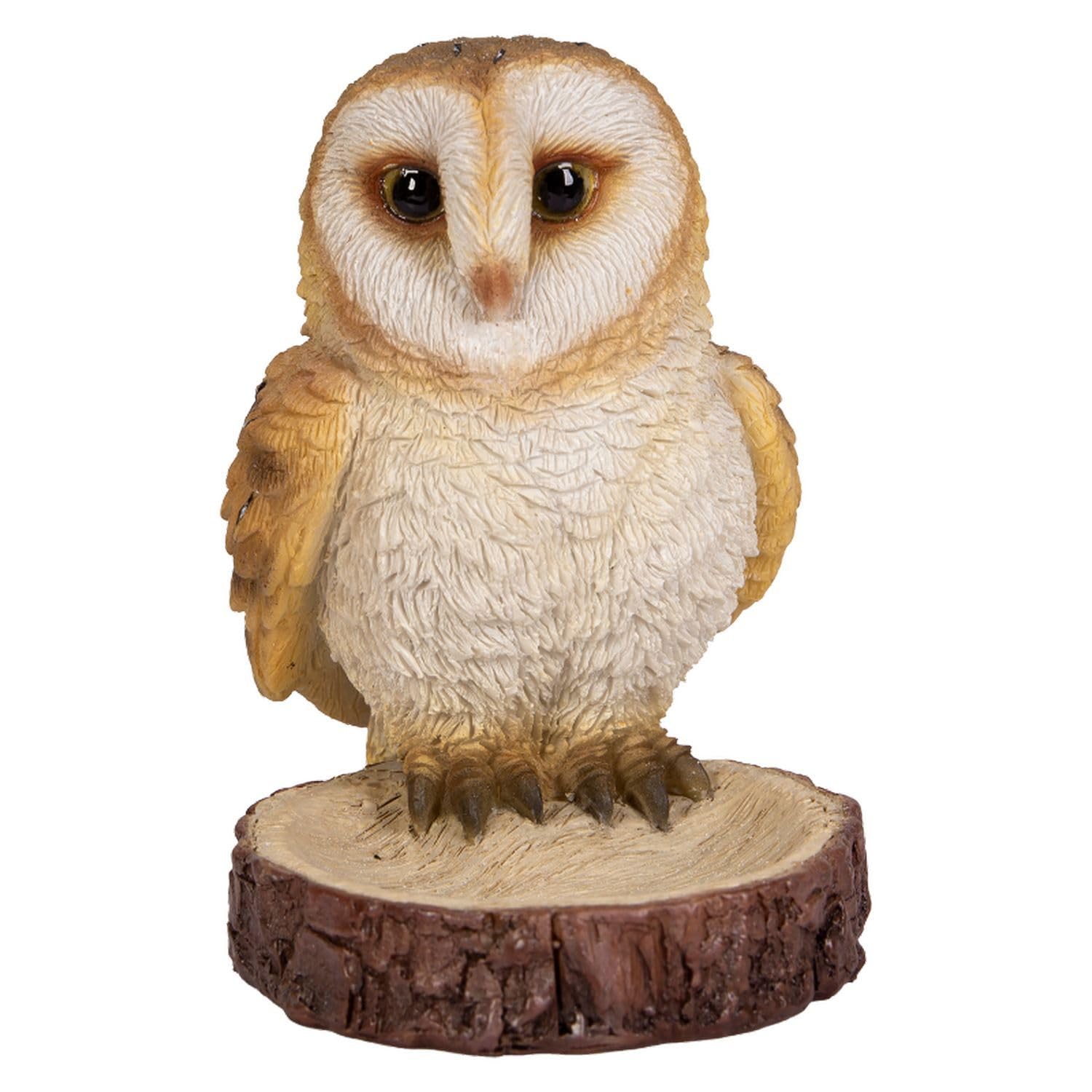 

Ubia Barn Owl Clip x 6 x Animal Garden Cute H22231 Holder, 7.5 8.8 cm, Figurine, Ornament, Decor, Realistic, Bird,
