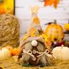Burlap Thanksgiving Charming Gnome Decoration Featuring Harvest Cap And Accents Seasonal