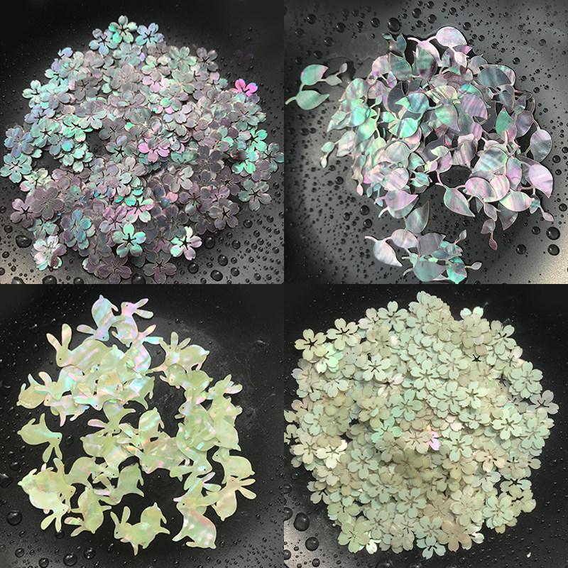 Multiple Natural Shell Mother of Pearl Conch Coquillage Beach Decor Craft Different Patterns Handmade DIY Material Marine Style