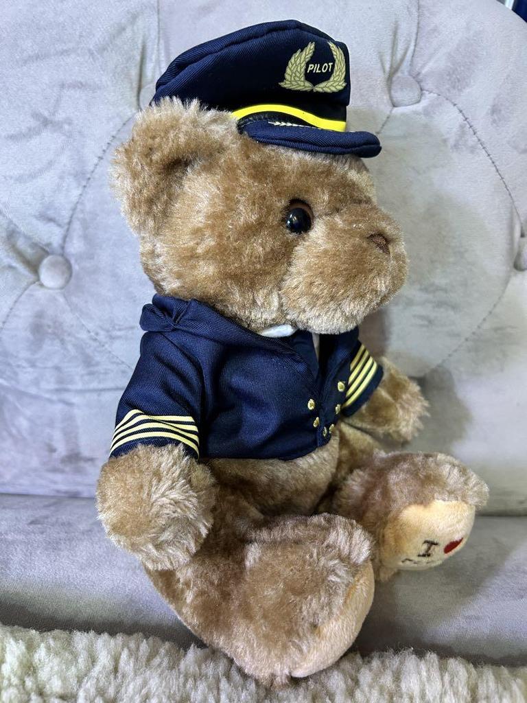 [USED] Taipei International Airport Pilot Teddy Bear