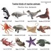 Mini Animal Growth Cycle Toys: Butterfly, Rooster, Ant, Frog, Sea Turtle, Dragonfly