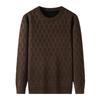 Men's Chenille Jacquard Fleece Pullover Sweater - Autumn/Winter 2022