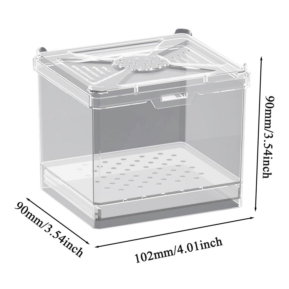 

Jumping Spider Terrarium Feeding Bin Ventilated Enclosure For Science Projects Apartment Educational Displays Home Camping чистий
