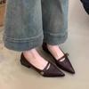 Fashion Retro Mary Jane Shoes Women's Spring Autumn Brown Light Mouth High Heels One Button Thick Heels Pointed Toe Temperament Pumps