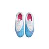 Nike Phantom GX Academy MG GS 'Blast Pack' DD9549-446