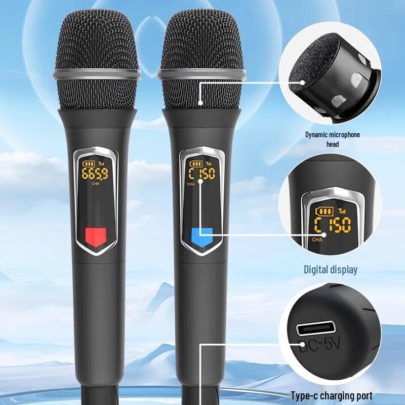 SOONTRAN SA7-09 8-inch Karaoke Subwoofer Speaker CN plug (adapter included) (CN version)