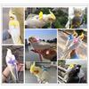 Parrot Flying Harness Rope Bird Walking Rope Ultra-light Flying Towing Rope