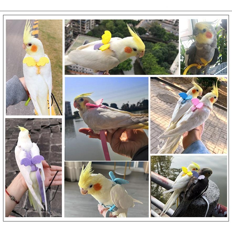 Parrot Flying Harness Rope Bird Walking Rope Ultra-light Flying Towing Rope
