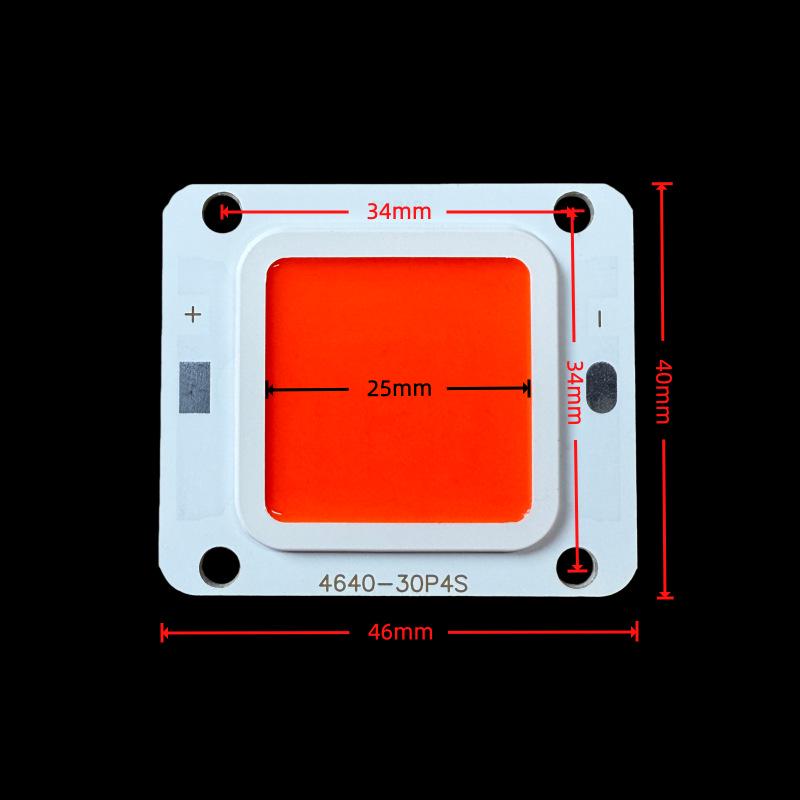 12V 50W Driver-Free COB LED Light Board, Warm White High-Brightness Light Chip.