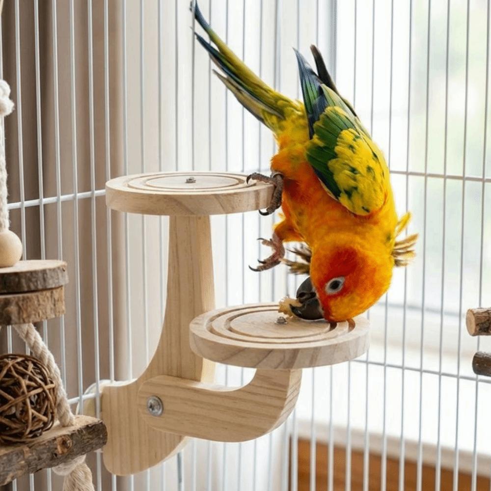 Bite Resistant Wooden Bird Perch Stand Parrots Ladder Bird Training Stand  Parrot Cage