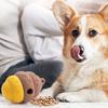 Silikon Hundefutter Leckball Bissfest Leckerli Spender Spielzeug Haustier Zahnen Reinigung Interaktiv Langeweile Beschäftigungsspielzeug