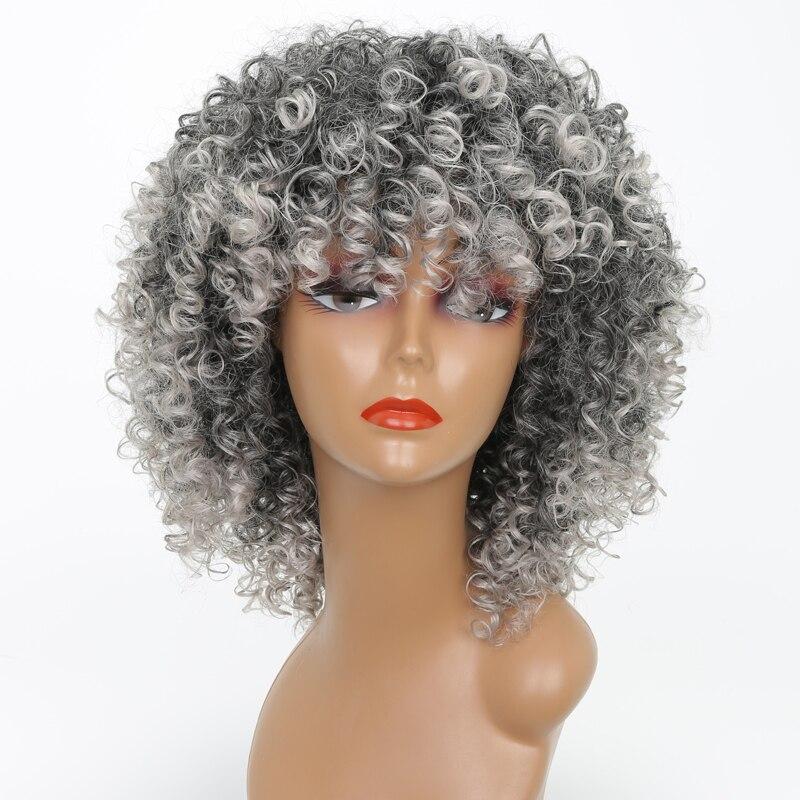 LISI HAIR 14inches Afro Kinky Curly Wig Synthetic Wig With Bangs Mixed Gray Brown and Blonde  Wig for Black Women Daily Wig