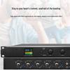 Professional Digital Audio Processor with Automatic Feedback Suppression (CN Version)