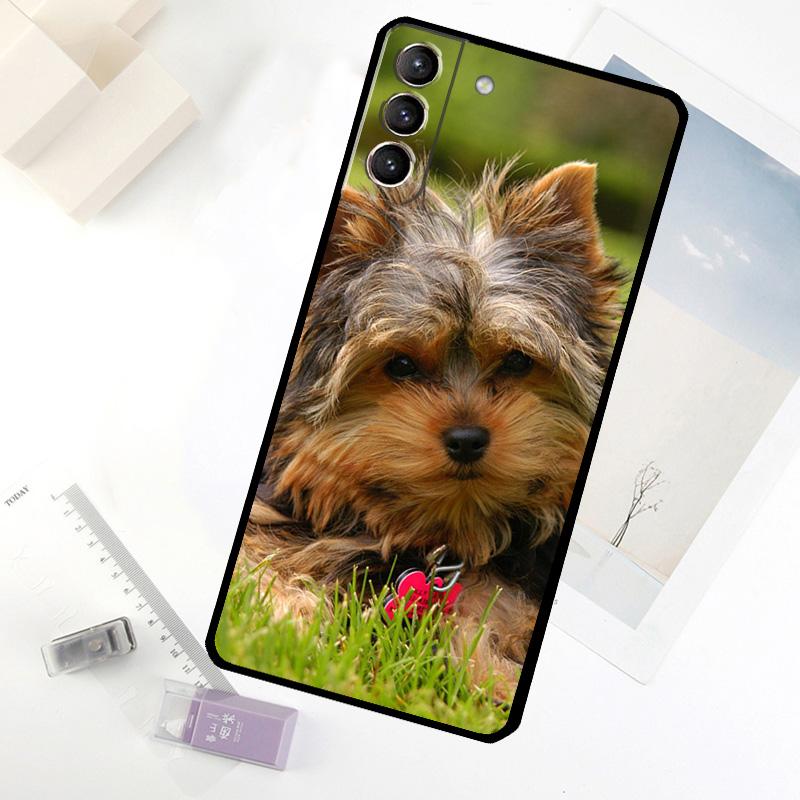 Mini Yorkshire Terrier Phone Case For Samsung Galaxy S20 FE S21 S22 S23 S24 S25 S26 Ultra S10 S25 Plus S25 FE Cover