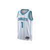 Air Dri-FIT NBA Charlotte Hornets Lamelo Ball Association Edition 2022/23 Swingman Jersey Men's DN2071-100