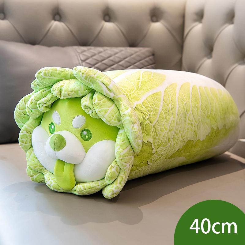 Cute Vegetable Fairy Plush Toy Lifelike Japanese Cabbage Dog Cantaloupe Tortoise Cabbage Frog Fluffy Shiba Inu Pillow Kids Toys
