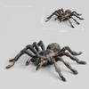Simulation Animal Scale Ratio Model 10cm Large Fake Spider Tarantula Black Spider Fun Halloween Prank Horror Props Children Novelty Toy