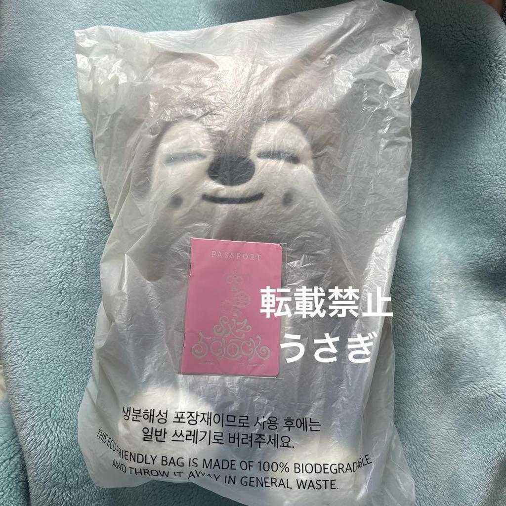 [USED] SKZOO PLUSH TEDDYBEAR Wolfchan with Trading Card