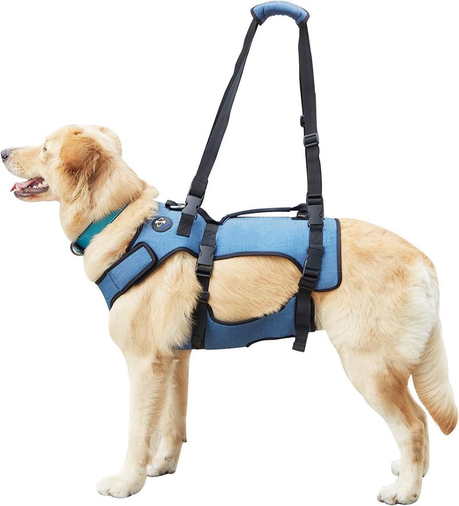 Corgi Mobility Aid: Cross-Border Pet Wheelchair for Disabled or Post-Op Rehabilitation